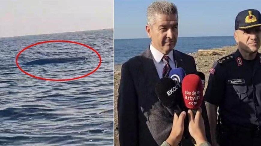 Karadeniz'de Bir Haftada İkinci Kez Görüldü! Vali'den Uyarı: Yaklaşmayın, Dokunmayın